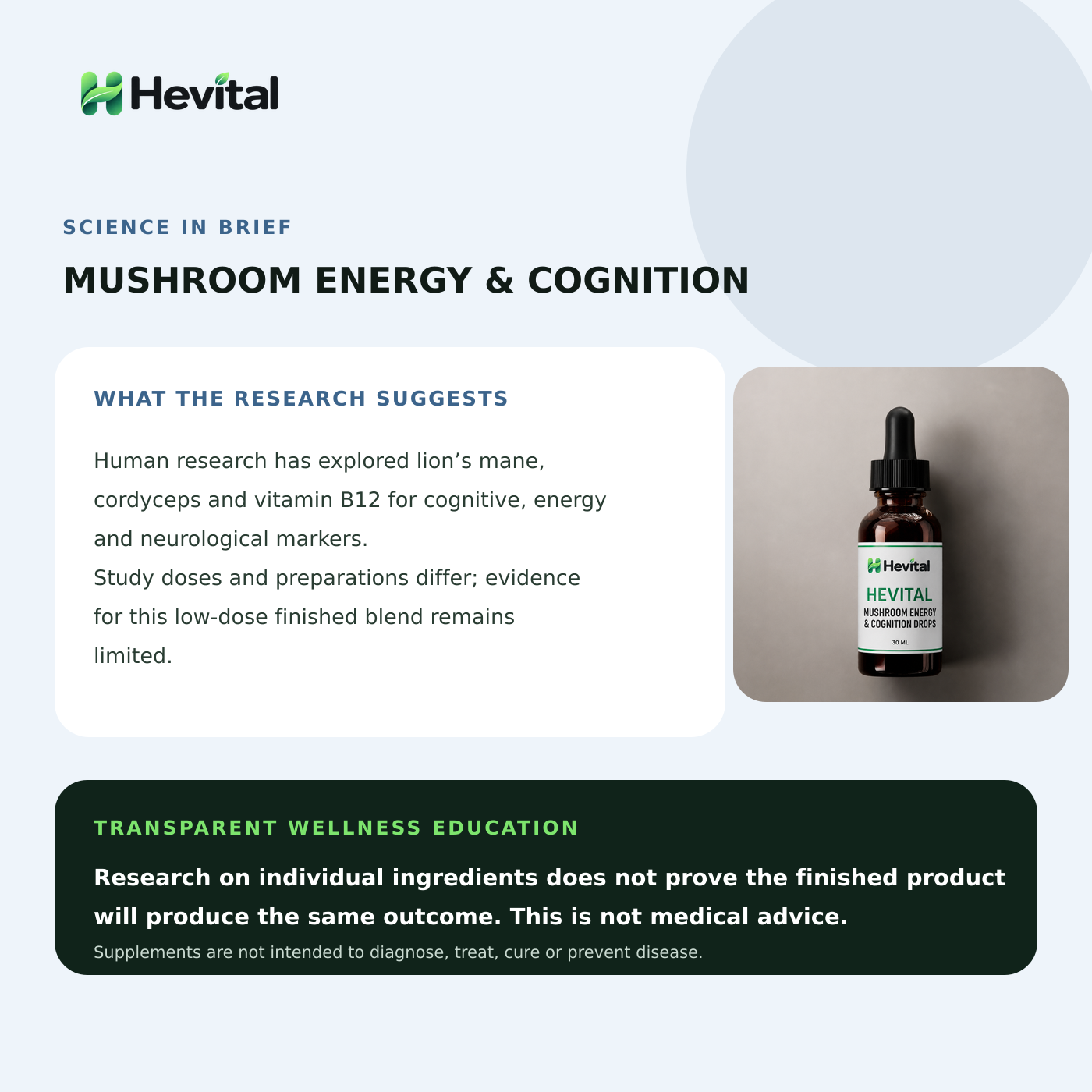Hevital Mushroom Energy & Cognition Drops - Image 4